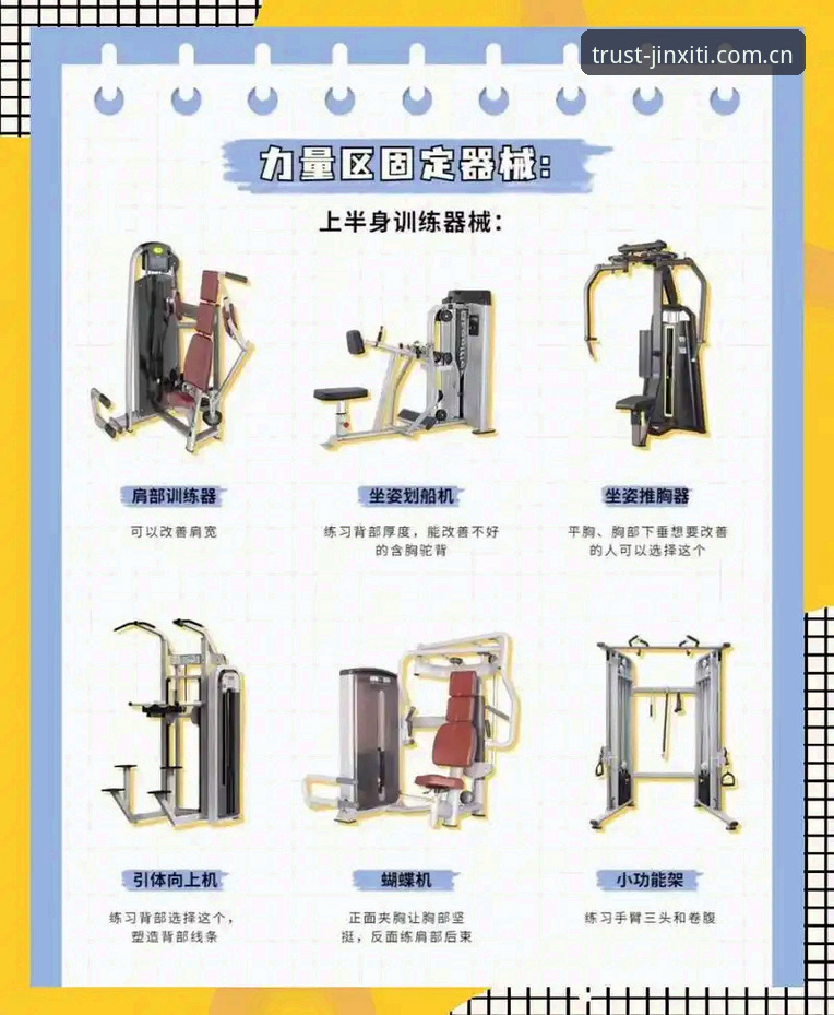金喜体育平台深度解析：从装备选择到使用技巧的全方位指南